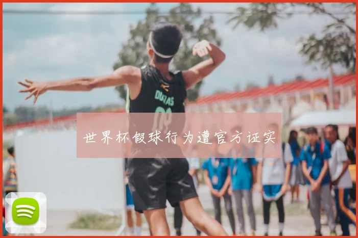 世界杯假球行为遭官方证实